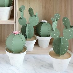 several small cactus plants in white pots on a shelf with other potted plants behind them