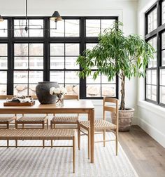 a dining room table with chairs and a potted plant in front of large windows