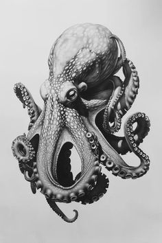 an octopus is in the air with its mouth open