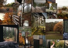 a collage of pictures with trees and buildings in the background, including a person's hand reaching for something