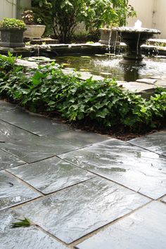 an outdoor garden with water features and plants