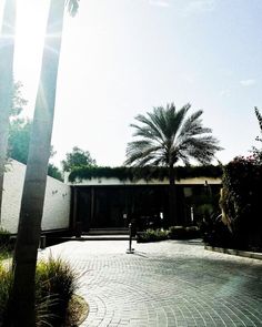 an empty courtyard with palm trees in the background