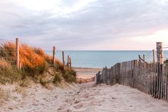 a sandy path leading to the beach with tall grass on either side and an ocean in the background