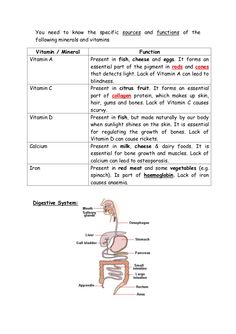 an image of the human body and its organs, labeled in red on a white background