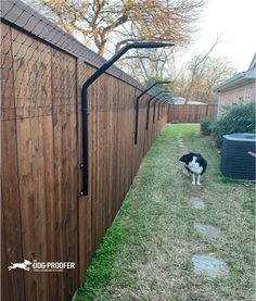 a black and white dog standing in the grass next to a fence with a pipe on it's side