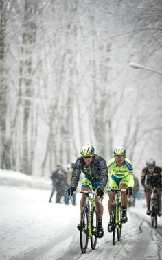 several bicyclists are riding through the snow