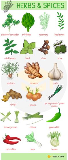 the different types of herbs and spices are shown in this poster, which shows their names