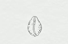 a black and white drawing of a seed