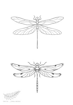 three different types of dragonflies in black and white