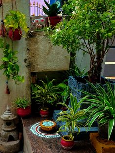 many potted plants are sitting on the ledge