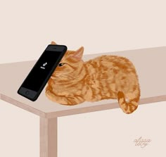 an orange cat laying on top of a table next to a cell phone