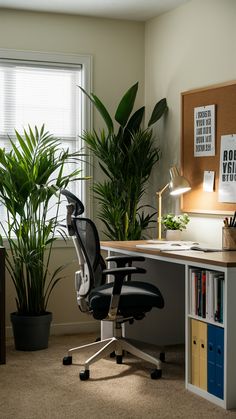 an office with a desk, chair and potted plant