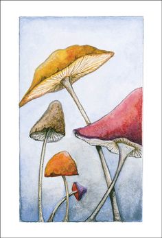 three different colored mushrooms are shown in this drawing