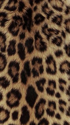 an animal print pattern is seen in this close up photo, it looks like the skin of a leopard or cheetah