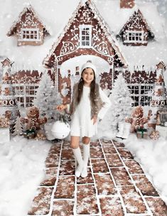 Kate Winter Christmas Gingerbread House Baking Cookies Backdrop Design House Party Decorations, Gingerbread House Parties, Brick Backdrops, Gingerbread Party, Brick Path, Photography Settings, Brown Brick, Cookie House, Winter Wonderland Party