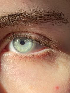 Blue eye, green eye Icy Green Eyes, Seafoam Eyes, Gray Green Eyes, Green Eyes Pale Skin, Pale Green Eyes, Aquamarine Eyes, Grey Green Eyes, Brown Eyes Aesthetic, Jade Eyes