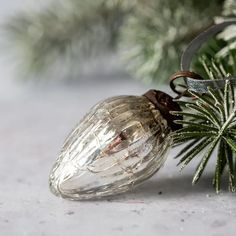 a glass ornament hanging from a tree branch with snow on the ground behind it