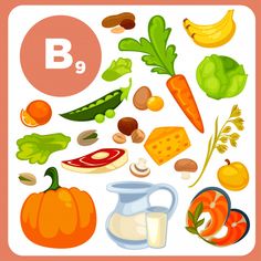 Foods With Vitamin E, Vitamin B9, Foods With Calcium, Food Cartoon, Diy Classroom, Illustration Food, Healthy Routine, Vitamin B12, Folic Acid