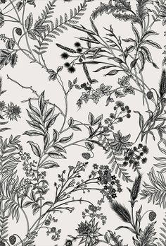 black and white floral wallpaper with lots of flowers