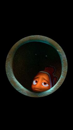 an orange fish in a round hole with black background