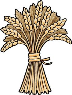 a bunch of wheat with a ribbon tied around the top and ears on each side