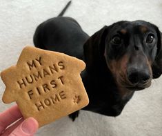 a person holding a dog biscuit with the words my humans first home written on it