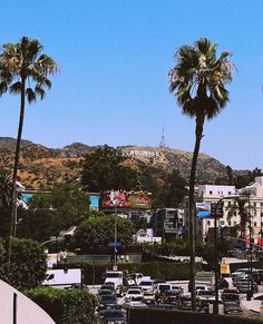 palm trees line the street in front of buildings and mountains with billboards on them