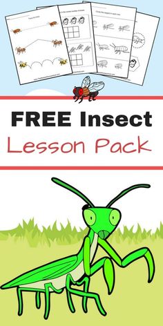 the free insect lesson pack for children to learn how to write and draw with pictures