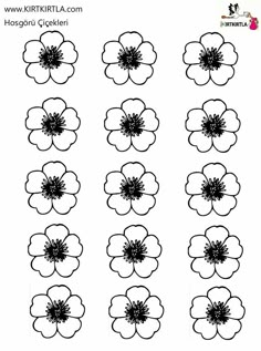 an image of flowers with black and white outlines on the bottom, in different sizes