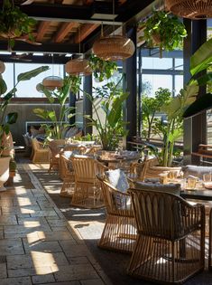 an outdoor dining area with wicker chairs and potted plants on the tables in front of large windows