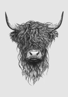 a drawing of a cow with long hair on it's face and horns, looking straight ahead