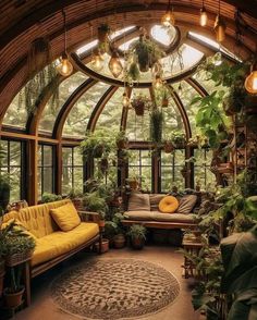 a living room filled with lots of plants and lights hanging from the ceiling above it