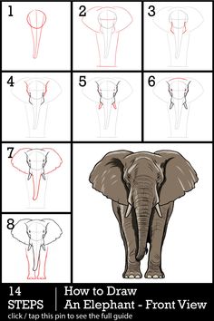 how to draw an elephant with step by step instructions