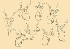 six deer heads drawn in black and white on a light colored background, each with long horns