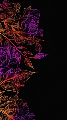 an abstract floral background with leaves and flowers on a black background in the night time