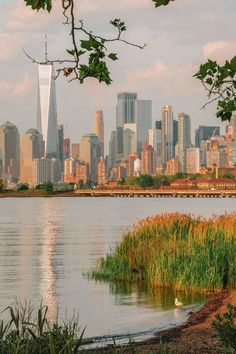 there is a large body of water in the foreground and tall buildings in the background