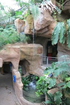 an outdoor waterfall in the middle of a jungle