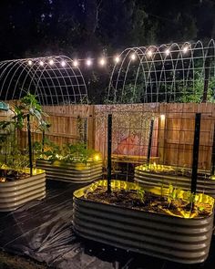 several raised garden beds with plants and lights on them at night in a backyard setting