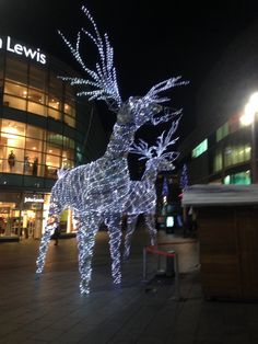 a lighted reindeer in front of a building at night with lights on it's antlers