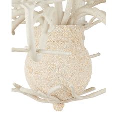 a white vase filled with lots of white corals on top of a tree branch