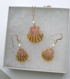 three seashells in a white box with pearls on the necklace and earring