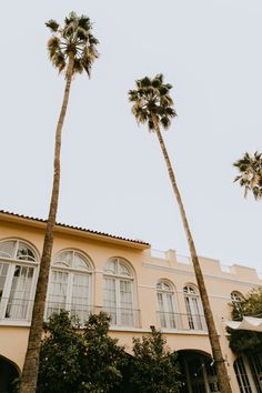 two tall palm trees in front of a yellow building