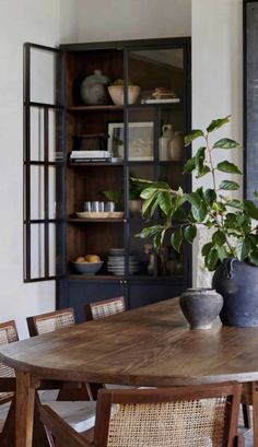 a dining room table with chairs and a potted plant