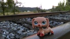 a small toy dog sitting on top of a rail