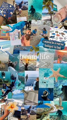 a collage of photos with words and pictures on them that say, dream life