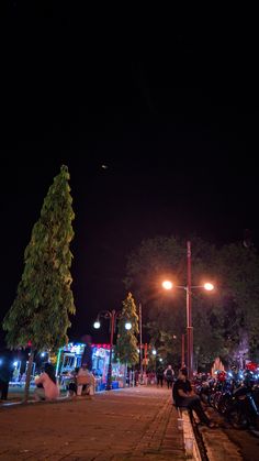 many people are sitting on the benches at night in front of some trees and lights