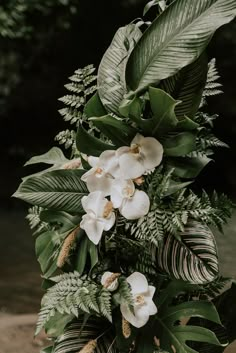 white orchids and green leaves are arranged in a vase on a table near the water