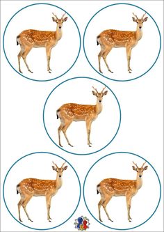 four deers are shown in the same circle, each with an individual's head