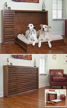 two dogs sitting on top of a bed in a room with hardwood floors and walls