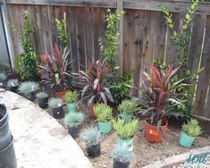 there are many potted plants in the garden outside on the ground near a fence